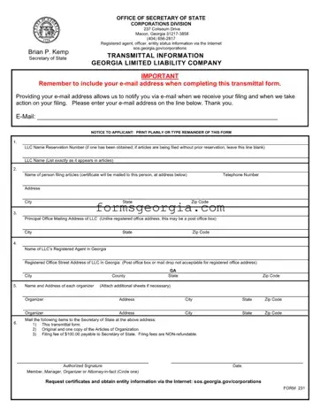 Fill a Valid Georgia 231 Template